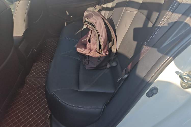 Used Toyota Levin 2019 185T CVT Luxury Edition China VI Standard
