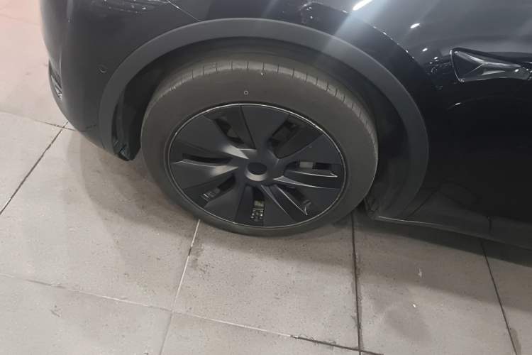 Used Tesla Model Y 2023 Rear-Wheel-Drive Version Exterior 4