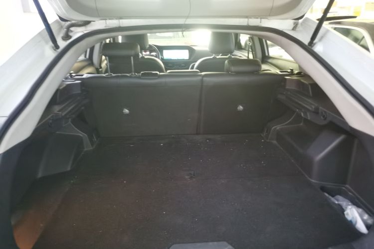 Used Venucia T90 2018 2.0L CVT Smart Connect Luxury Edition China V Standard