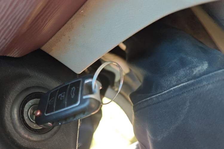 Used FORTHING Lingzhi 2019 Facelifted M5L 1.6L 7-Seater Base Model China VI Standard