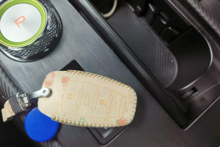 Used Haval H6S 2022 2.0T Two-Wheel Drive ZhiRun Version