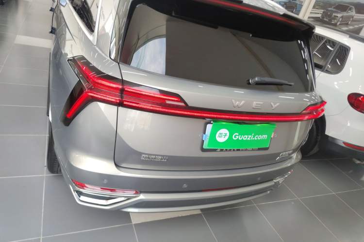 Used Wey Lanshan 2023 Four-Wheel Drive Ultra-Long Range Version Rear