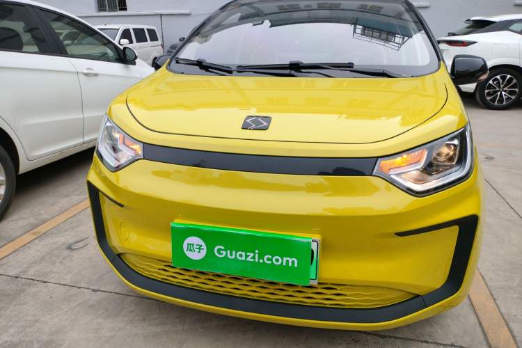 Used SOL E10X 2022 Flower Fairy Style Baby's Breath
