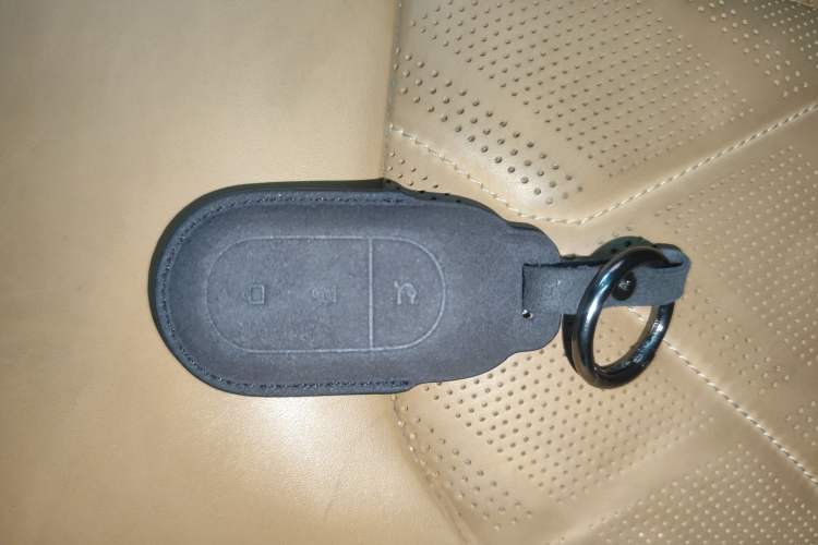 Used Leapmotor C11 2024 All-Electric 580 Luxury Edition Interior 1