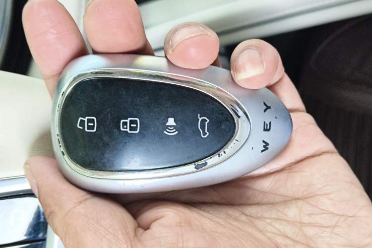 Used Wey Lanshan 2023 Four-Wheel Drive Ultra-Long Range Version