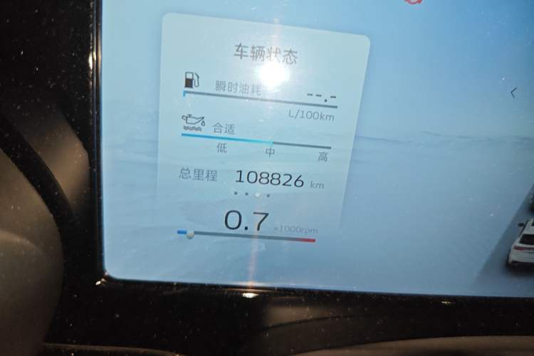 Used Geely Auto Monjaro L 2021 2.0TD DCT EVO Two-Wheel Drive Prestige Version Odometer Close Up