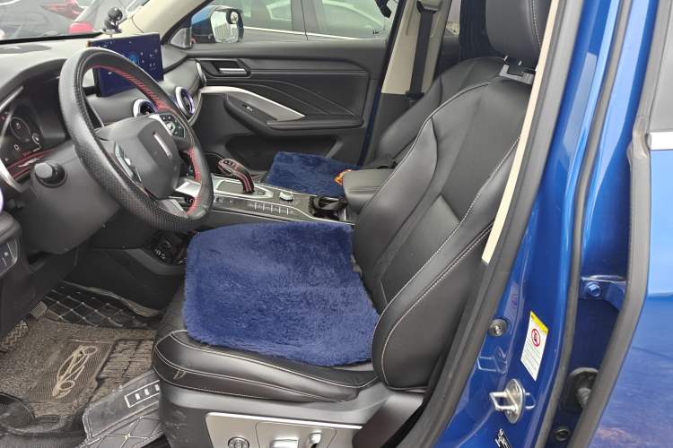 Used Wey VV6 2021 2.0T Two-Wheel Drive Smart Protection+
