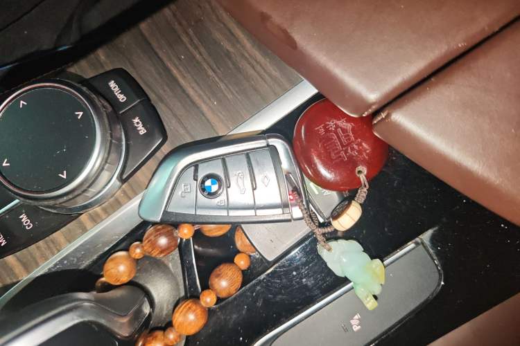 Used BMW 5 Series 2020 530Li Leading Edition Luxury Package