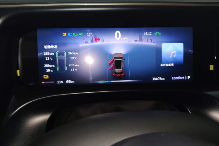 Used smart #5 2024 Jungle Realm Limited Edition