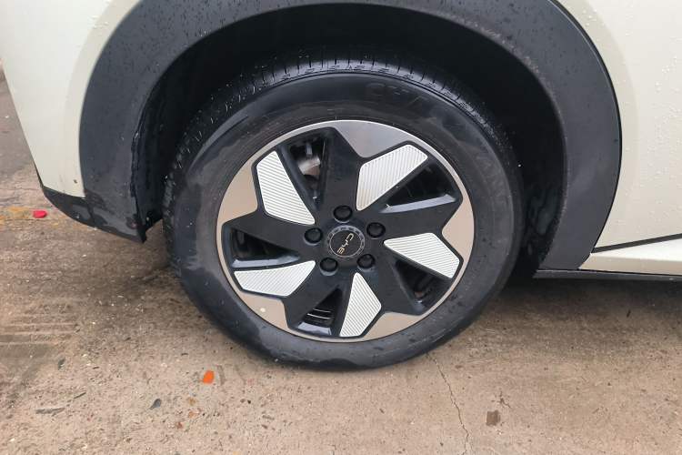 Used BYD Dolphin 2024 Honor Edition 420km Freedom Version