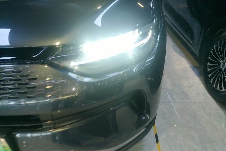 Used Leapmotor C11 2024 Range-Extended 300 Luxury Edition
