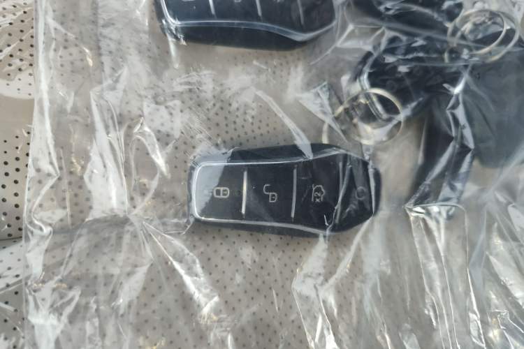 Used BYD Dolphin 2025 420km Free Edition