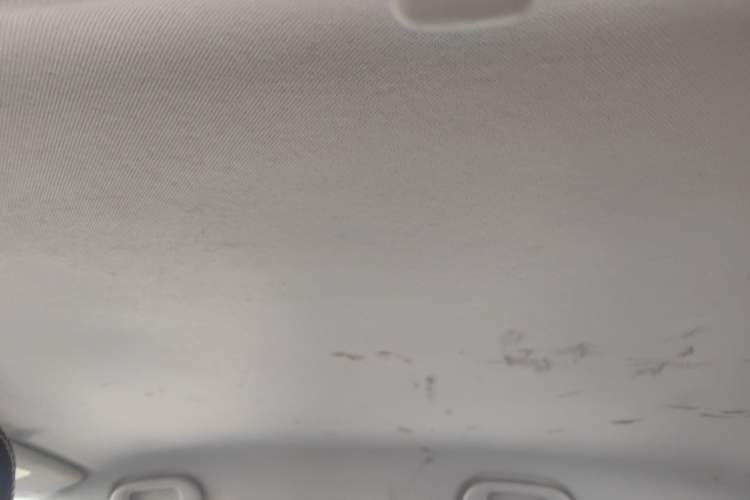 Used BYD e2 2019 Long-Range Version Yao·Luxury Trim Headliner