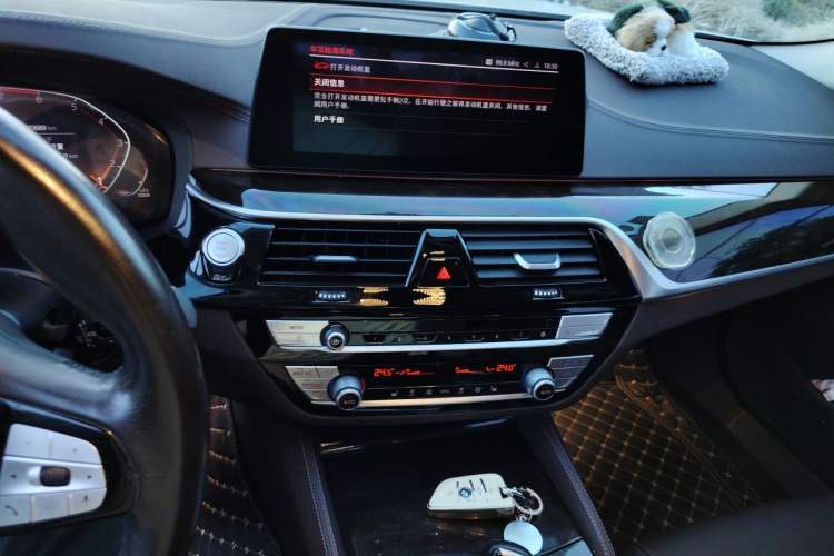 Used BMW 5 Series 2020 525Li Luxury Package
