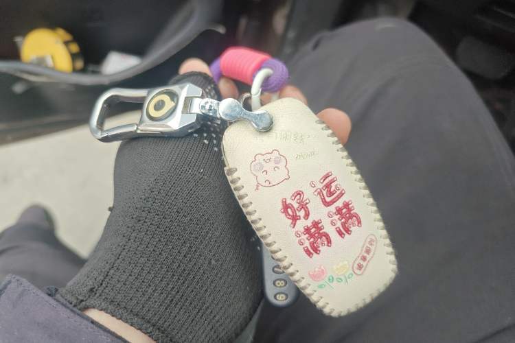 Used Great Wall Poer 2019 2.0T Automatic Gasoline Two-Wheel Drive Comfort Edition GW4C20B