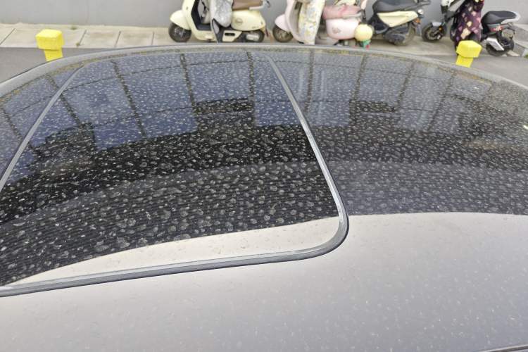 Used Volkswagen Passat 2020 Revised Version 280TSI Business Edition China VI Standard