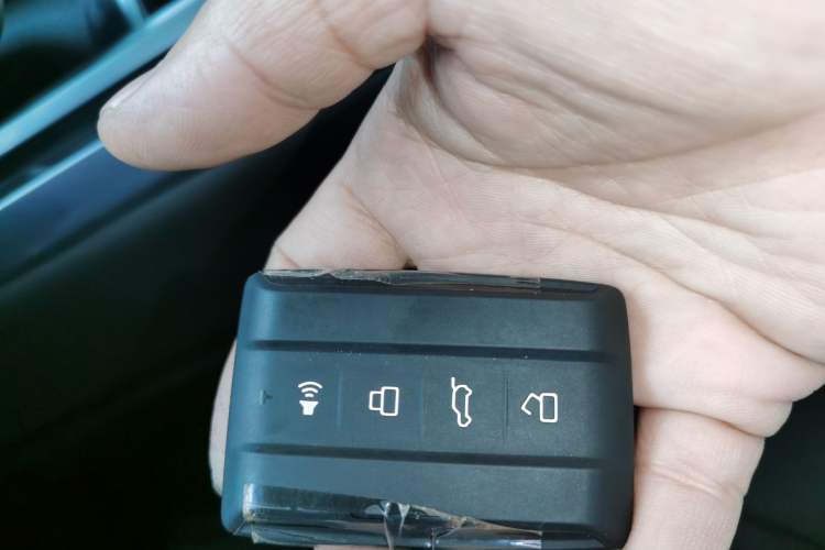 Used Tank 400 2025 2.0T Gasoline Version
