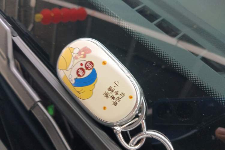 Used Geely Galaxy Geome 2025 310km Youth Edition
