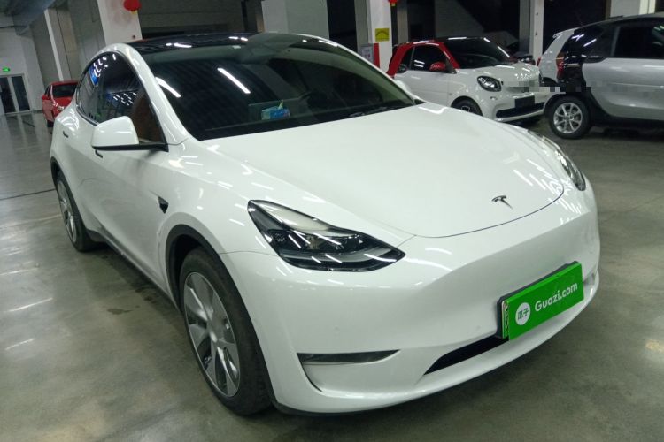 Used Tesla Model Y 2021 Standard Range Rear-Wheel Drive Version
