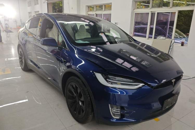 Used Tesla Model X 2017 X 100D Long Range Edition
