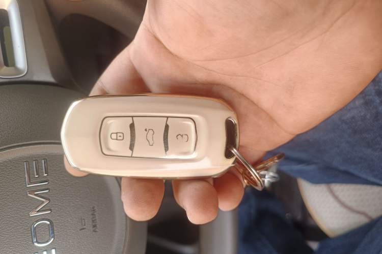 Used Geely Galaxy Panda 2023 Panda Mini 120km Super Cute Bear