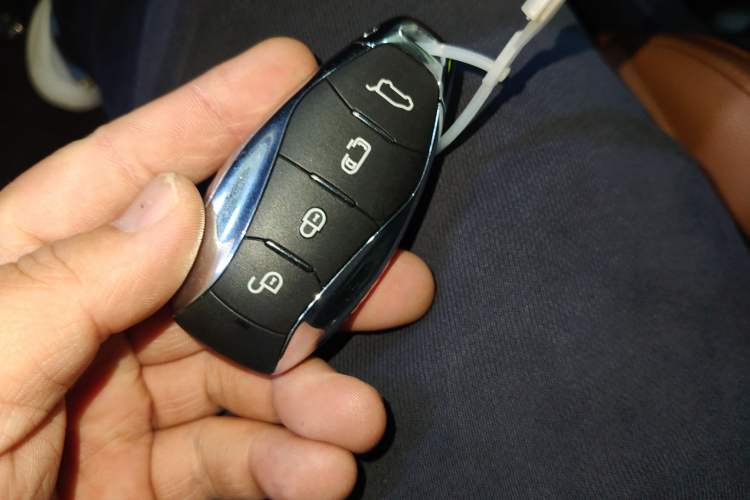 Used Hongqi HQ9 2023 2.0T Smart Connect Flagship Edition
