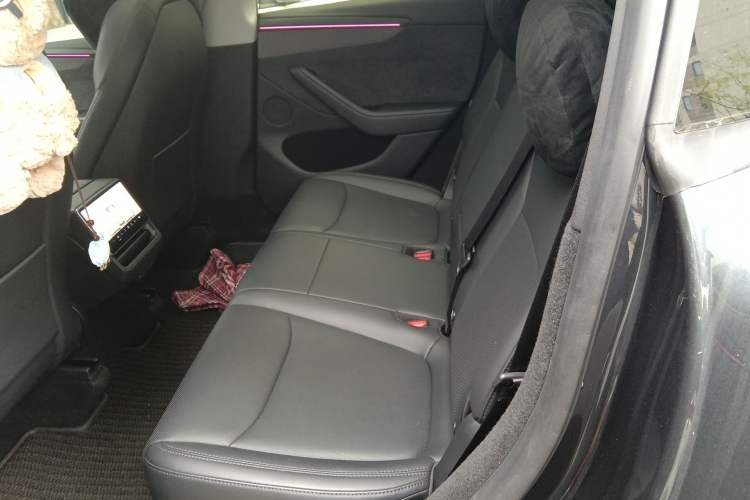 Used Tesla Model Y 2025 Long-Range All-Wheel Drive First Edition Left Rear Seat