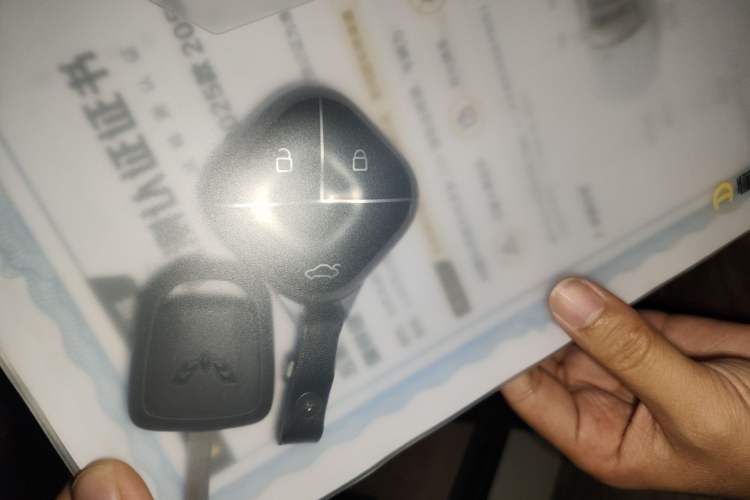 Used Wuling Hongguang MINIEV 2025 Four-Door Version Advanced Edition Vehicle Key