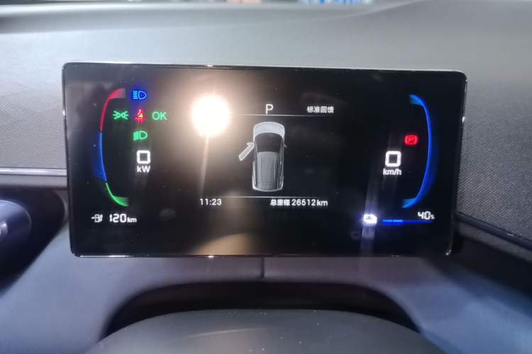 Used BYD Seagull 2025 305 km Free Version
