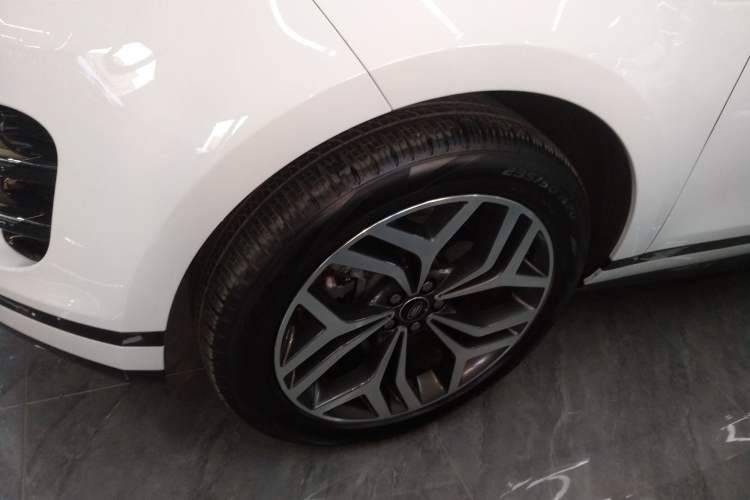 Used Land Rover Range Rover Evoque 2023 Aurora L 249 PS Luxury Edition
