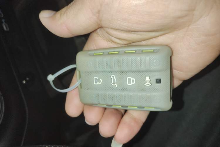 Used Tank 300 2021 Off-Road Edition 2.0T Conqueror