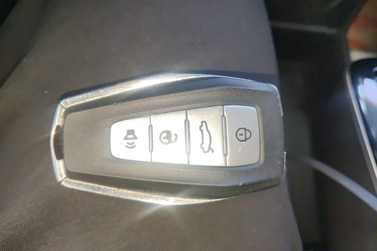 Used Geometry E Firefly 2023 320KM Cute & Handsome Tiger 5 Seats
