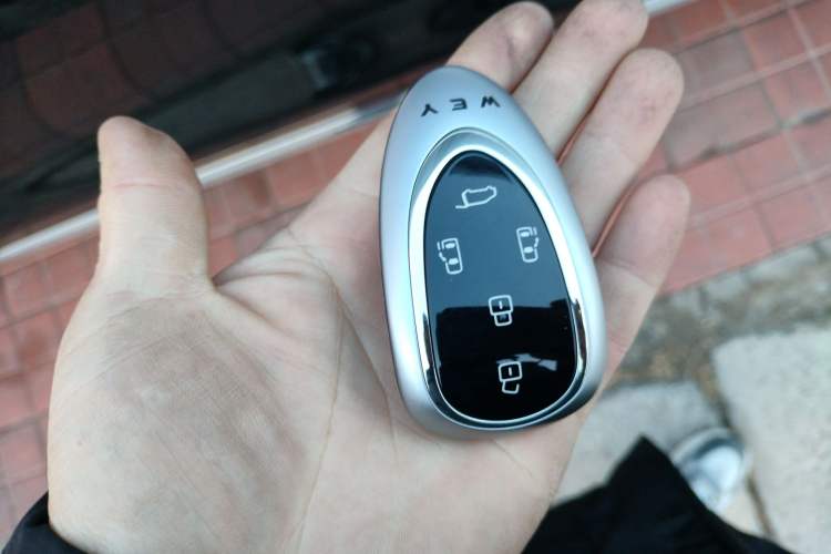 Used Wey Gaoshan 2023 Four-Wheel-Drive Executive Extended Version
