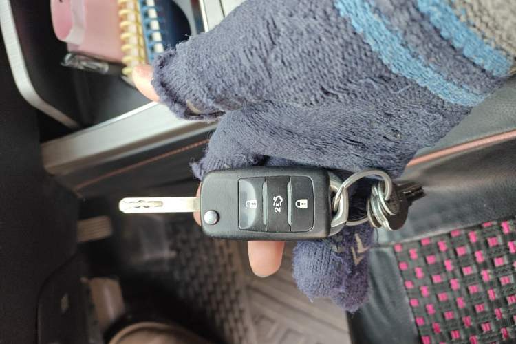 Used Oshan X7 2020 1.5T Automatic Elite Edition