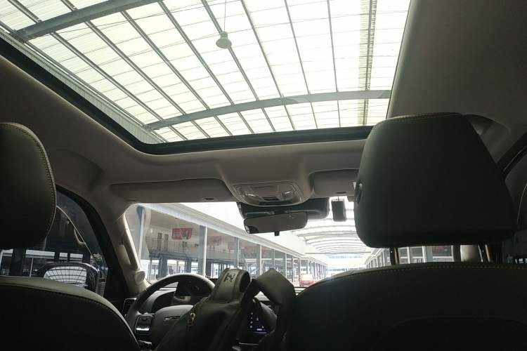 Used Haval DARGO 2024 2.0T DCT Chinese Rural Dog Edition Headliner