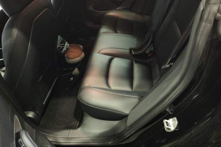 Used Tesla Model 3 2020 Standard Range Rear-Wheel Drive Upgraded Version Left Rear Seat