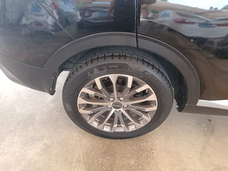 Used Haval H6 2020 1.5 GDIT Automatic Platinum Champion Edition — 25