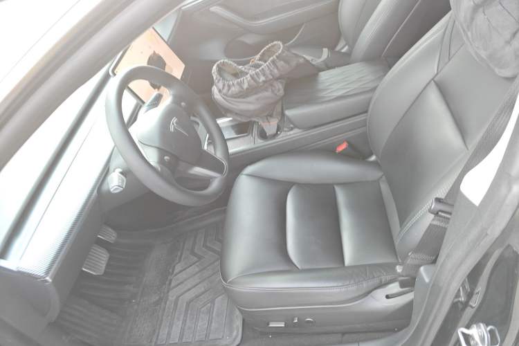 Used Tesla Model 3 2022 Rear-Wheel-Drive Version