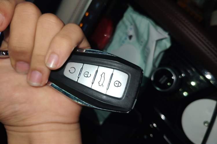 Used Geely Auto Monjaro L 2024 2.0TD High-Power Automatic Two-Wheel Drive Skyline Edition
