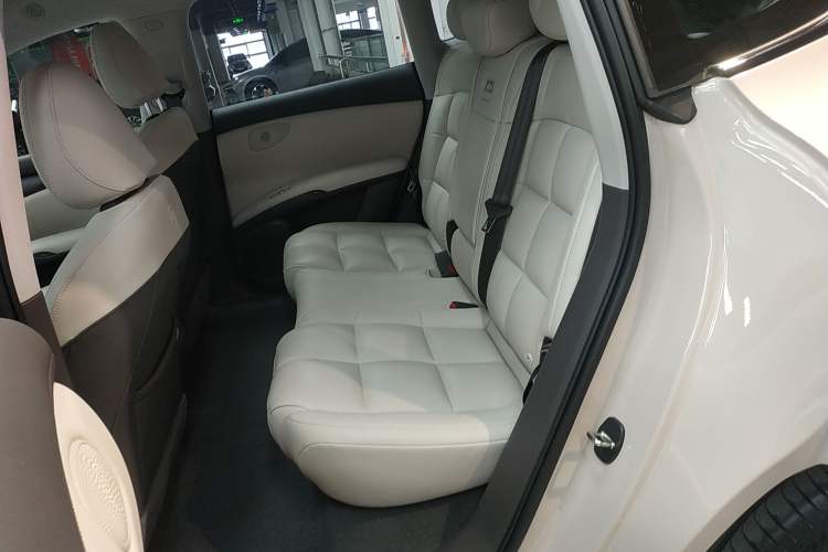 Used IM LS6 2023 Max Standard Edition
