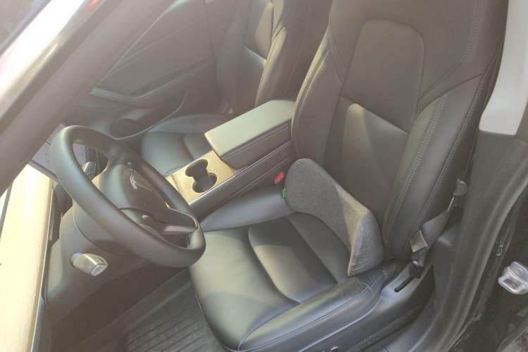 Used Tesla Model 3 2020 Revised Version Standard Range Rear-Wheel Drive – Upgraded Edition
