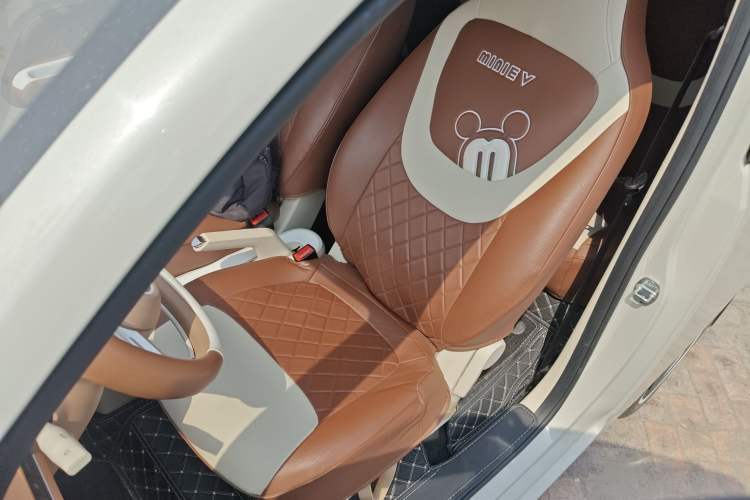 Used Wuling Hongguang MINIEV 2024 3rd Generation 215km Youth Edition Left Front Seat