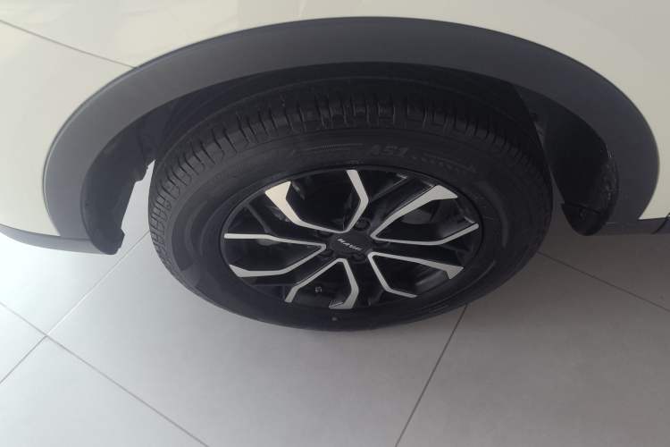 Used Haval H6 2023 National Trend Edition 1.5T Automatic Urban Version