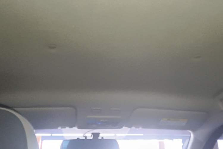 Used ORA Black Cat 2021 301 km Basic Version