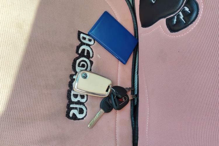 Used Volkswagen Magotan 2023 2 Million Units Commemorative Edition 330TSI DSG Luxury Version