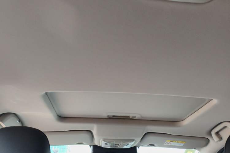 Used Great Wall Poer 2021 2.0T Global Version Passenger Car Automatic Gasoline Two-Wheel Drive Comfort Trim Standard Box – GW4C20B Headliner