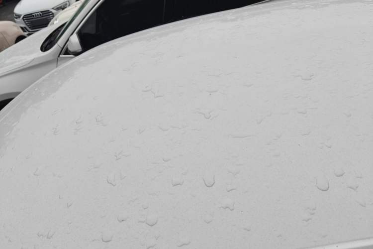 Used Audi A1 2014 30 TFSI Sportback Fashion Model Roof