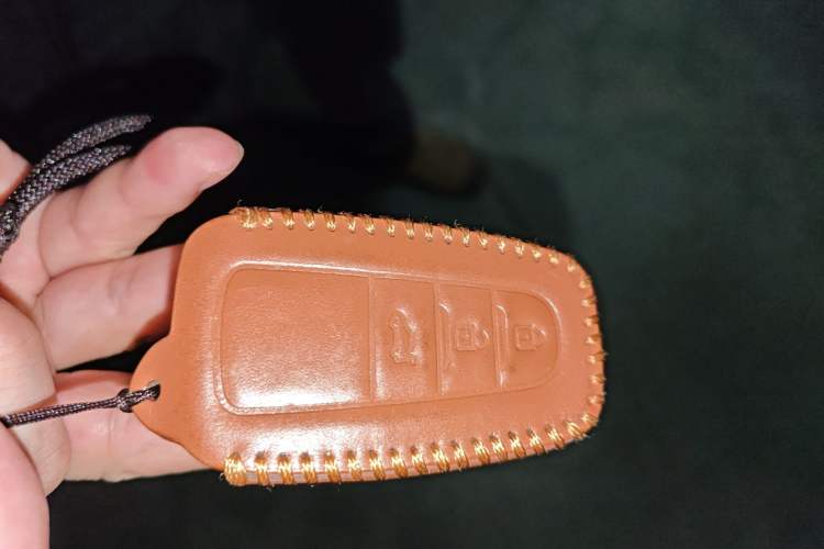 Used Toyota Levin 2019 185T CVT Luxury Edition China VI Standard
