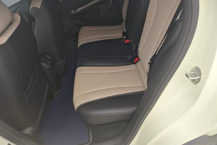 Used BYD Dolphin 2025 Smart Drive Version 420 km Freedom Edition Left Rear Seat