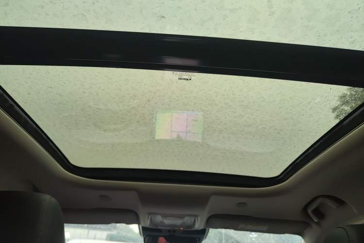 Used Wey Latte DHT 2022 1.5T DHT Extra-Large Cup
